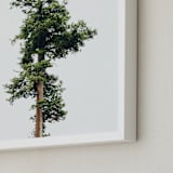 "Solo" - Art Print in spring rain by Kamala Nahas - Frame Close-up