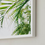 "Palm 3" - Art Print in color by Kamala Nahas - Frame Close-up