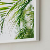 "Palm 3" - Art Print in color by Kamala Nahas - Frame Close-up