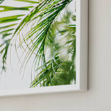 "Palm 3" - Art Print in color by Kamala Nahas - Frame Close-up