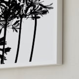 "High Drama" - Art Print in Black and White by Nadia Hassan - Frame Close-up