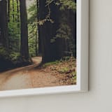 "Walk Into the Woods" - Art Print in Forest Brown by Bente Jorgensen-Barajas - Frame Close-up