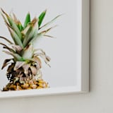 "Pining for Pineapple" - Art Print in pineapple green by Joni Tyrrell - Frame Close-up