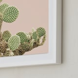 "cactus coins" - Art Print in Cactus by Baumbirdy - Frame Close-up
