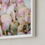"PINK CACTI" - Art Print in Blush by Shannon Kirsten - Frame Close-up
