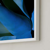 "Electric Blues 1" - Art Print in Cobalt by Lisa Sundin - Frame Close-up