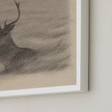 "Red Deer" - Art Print in Antler by jinseikou - Frame Close-up