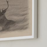 "Red Deer" - Art Print in Antler by jinseikou - Frame Close-up