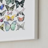 "Watercolor Butterfly Collection" - Art Print in Lush Meadow by Heidi Lowell - Frame Close-up