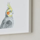 "Cockatiel" - Art Print in Grey with a splash of yellow by Kirsta Benedetti - Frame Close-up
