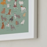 "ABCs of Dog Breeds" - Art Print in Mint by Vera Lim - Frame Close-up