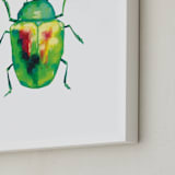 "Emerald Dogbane Beetle" - Art Print in Emerald by Holly Whitcomb - Frame Close-up
