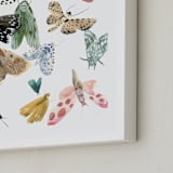 "Moths" - Art Print in Moss Green by Emilie Simpson - Frame Close-up