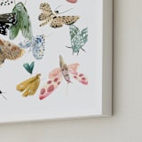"Moths" - Art Print in Moss Green by Emilie Simpson - Frame Close-up