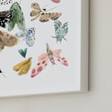 "Moths" - Art Print in Moss Green by Emilie Simpson - Frame Close-up