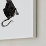"Sumi Cat" - Art Print in Sumi Ink by Papernoten - Frame Close-up