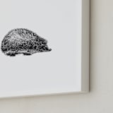 "pétit hérisson" - Art Print in Black by IMG_101 - Frame Close-up