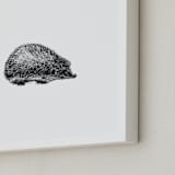 "pétit hérisson" - Art Print in Black by IMG_101 - Frame Close-up