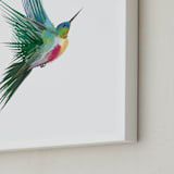 "hummingbird" - Art Print in Turqoise Green by Sara Shashani - Frame Close-up