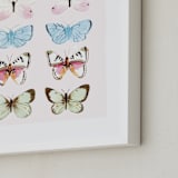 "Butterfly Study" - Art Print in Blush by Megan Kelso - Frame Close-up