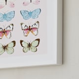 "Butterfly Study" - Art Print in Blush by Megan Kelso - Frame Close-up