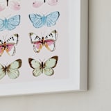 "Butterfly Study" - Art Print in Blush by Megan Kelso - Frame Close-up