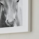 "Wild and free." - Art Print in Charcoal by Dawn Smith - Frame Close-up
