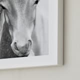 "Wild and free." - Art Print in Charcoal by Dawn Smith - Frame Close-up