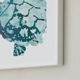 "Tropical Sea Turtle" - Art Print in Caribbean by Shirley Browning - Frame Close-up