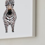 "Baby Zebra 2" - Art Print in dark chocolate by Cass Loh - Frame Close-up