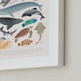 "Ocean animals endangered" - Art Print in Ivory by Sabrin Deirani - Frame Close-up