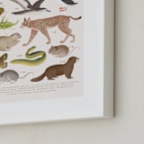 "Europe, endangered animals" - Art Print in Ivory by Sabrin Deirani - Frame Close-up
