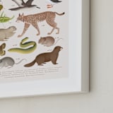 "Europe, endangered animals" - Art Print in Ivory by Sabrin Deirani - Frame Close-up