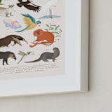"America, endangered animals" - Art Print in Ivory by Sabrin Deirani - Frame Close-up
