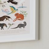 "America, endangered animals" - Art Print in Ivory by Sabrin Deirani - Frame Close-up