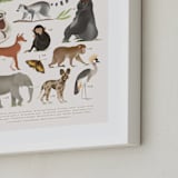 "Africa, endangered animals" - Art Print in Ivory by Sabrin Deirani - Frame Close-up