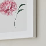"Leaning In" - Art Print in Pretty Pink by Julie Cha - Frame Close-up