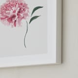 "Leaning In" - Art Print in Pretty Pink by Julie Cha - Frame Close-up