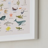 "Sea Alphabet" - Art Print in Blush by Kate Blalock - Frame Close-up