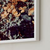 "Broccoli Bees" - Art Print in Honey by Belia Simm - Frame Close-up