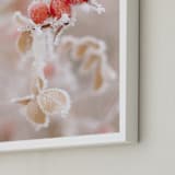 "Frozen Berries" - Art Print in Winter Red by Sharon Rowan - Frame Close-up