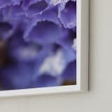 "Depth of Winter" - Art Print in Blueberry Smoothie by Janie Allen - Frame Close-up