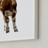 "Austrian Calf" - Art Print in brown and white by Katrina Leandro - Frame Close-up