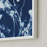 "Eschscholzia californica" - Art Print in prussian blue by raven erebus - Frame Close-up