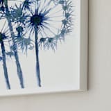 "Ethereal Dandelions" - Art Print in indigio by Amelia Gluba - Frame Close-up