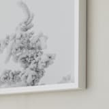 "Frost 2" - Art Print in black & white by Ardell McLennan - Frame Close-up