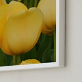 "Yellow Tulip" - Art Print in tulip yellow by Sea and Sky - Frame Close-up