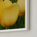 "Yellow Tulip" - Art Print in tulip yellow by Sea and Sky - Frame Close-up