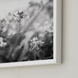 "Inked III" - Art Print in Inked Gray by Lindsay Ferraris Photography - Frame Close-up
