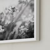 "Inked III" - Art Print in Inked Gray by Lindsay Ferraris Photography - Frame Close-up